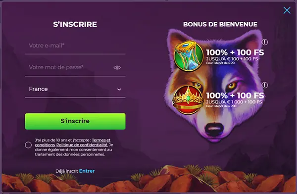 Fenêtre d’inscription de Wizebets (2023)